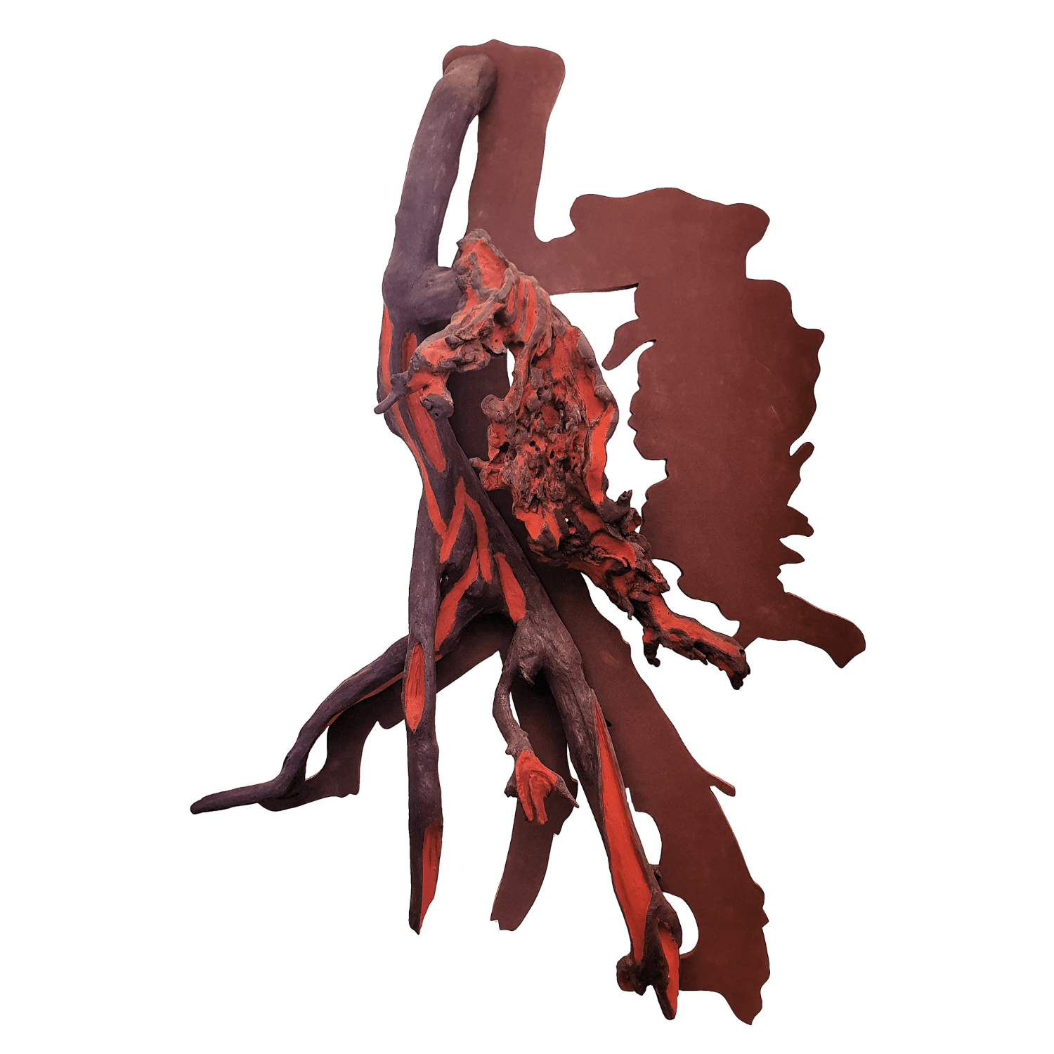 Frans Krajcberg │ arauco