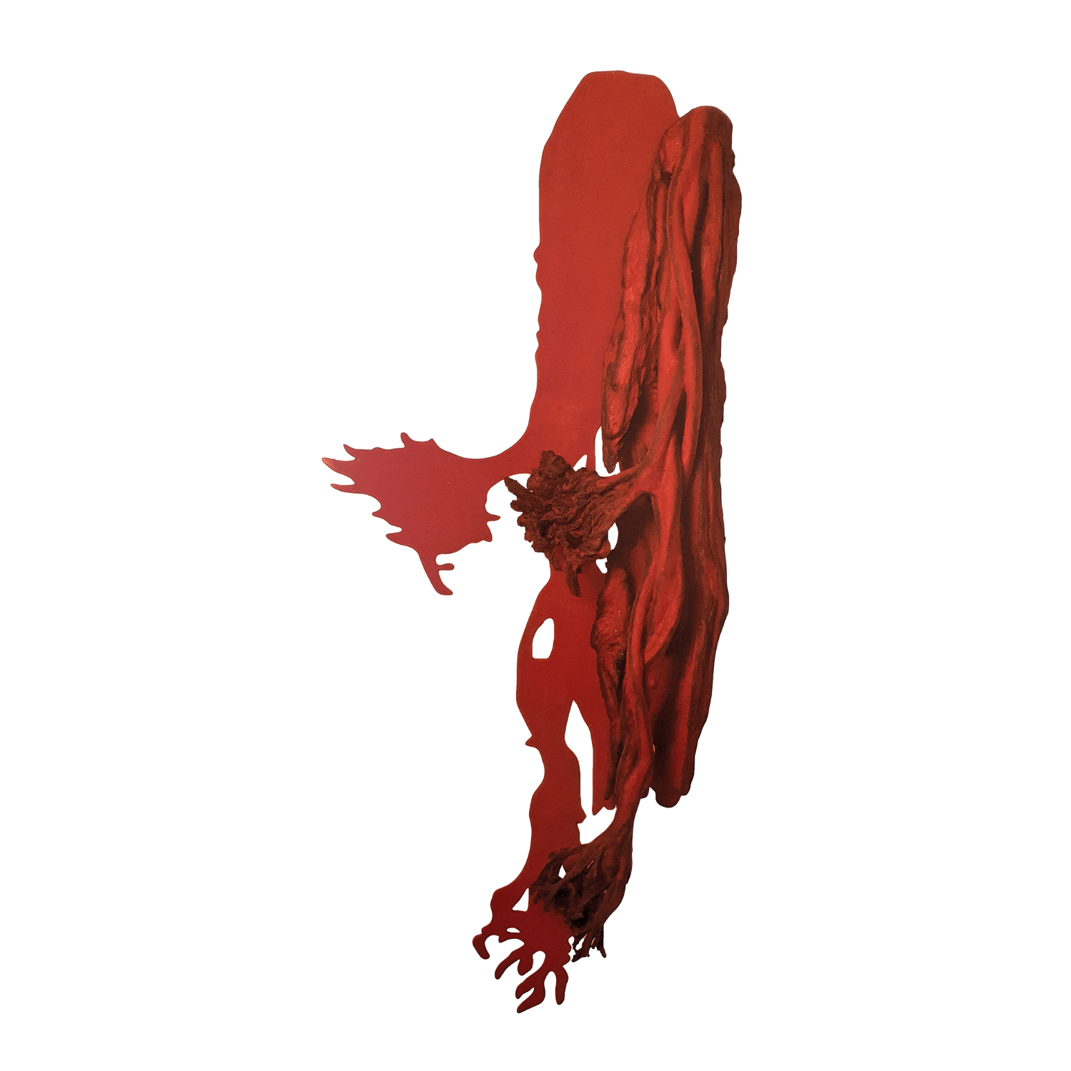 Frans Krajcberg │ arauco