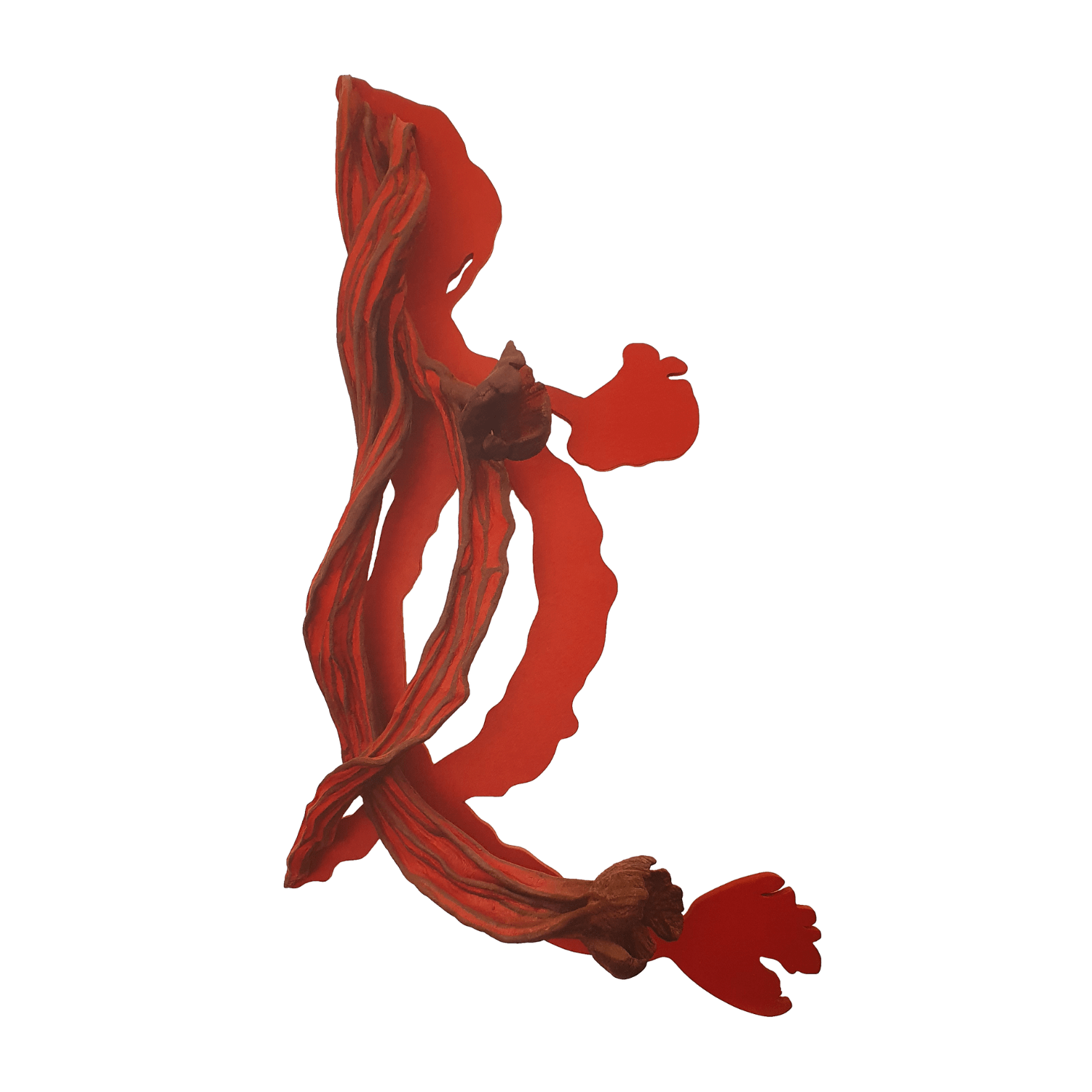 Frans Krajcberg │ arauco