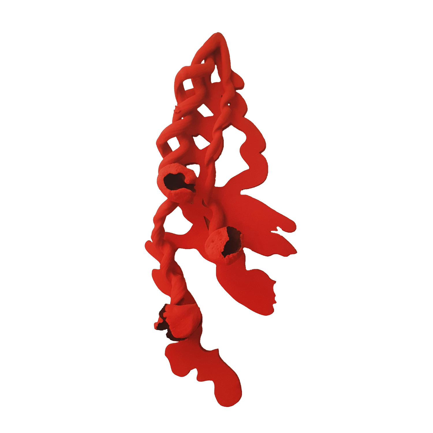 Frans Krajcberg │ arauco